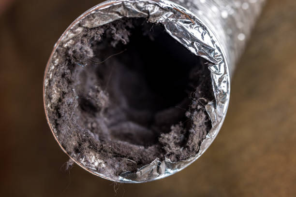 Best Home Air Vent Cleaning  in Conestee, SC